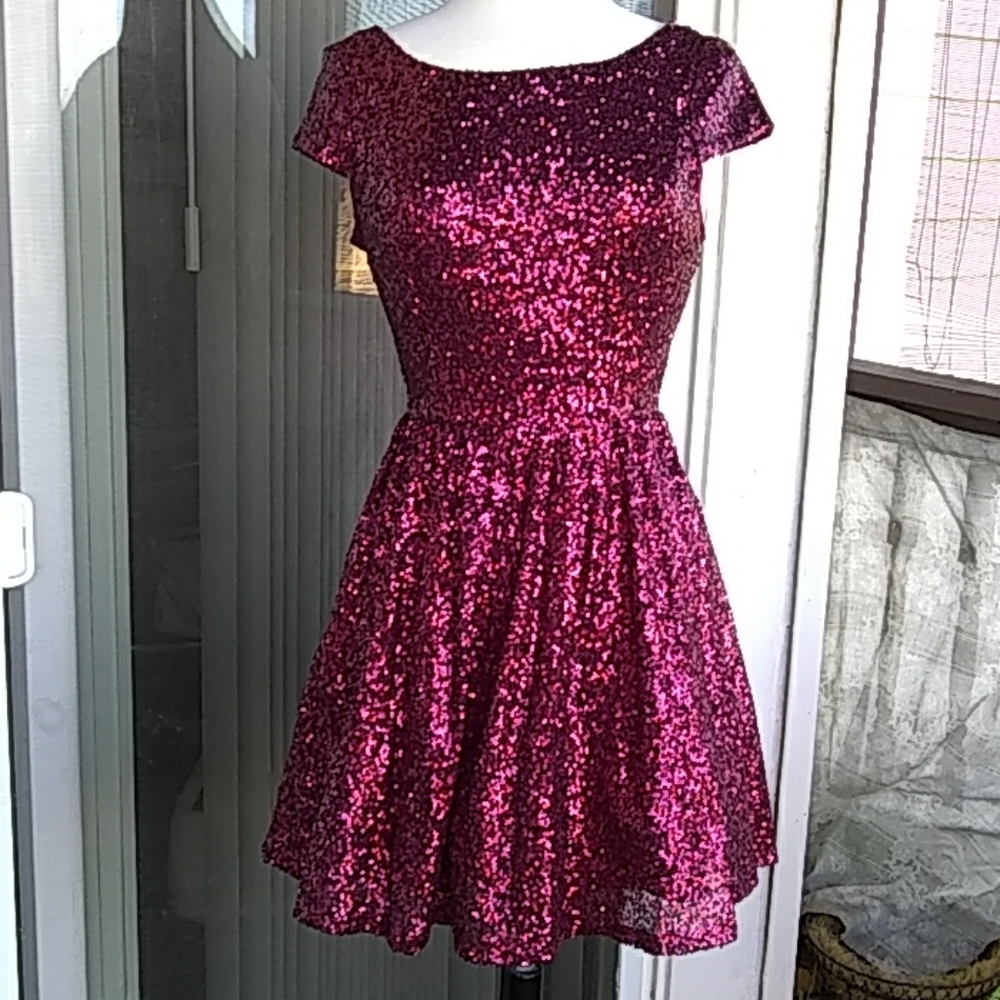 Fit and Flare Sequin Dress